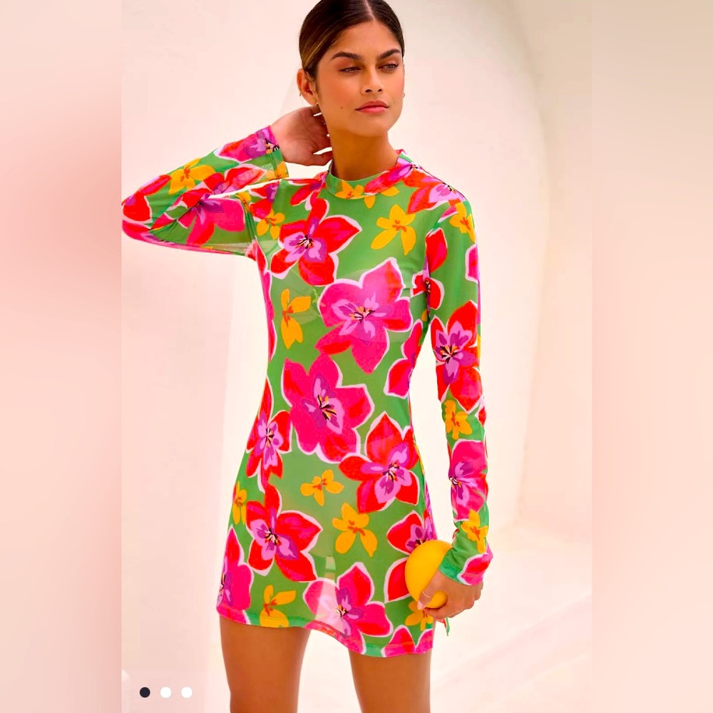 Anthropologie mesh dress
